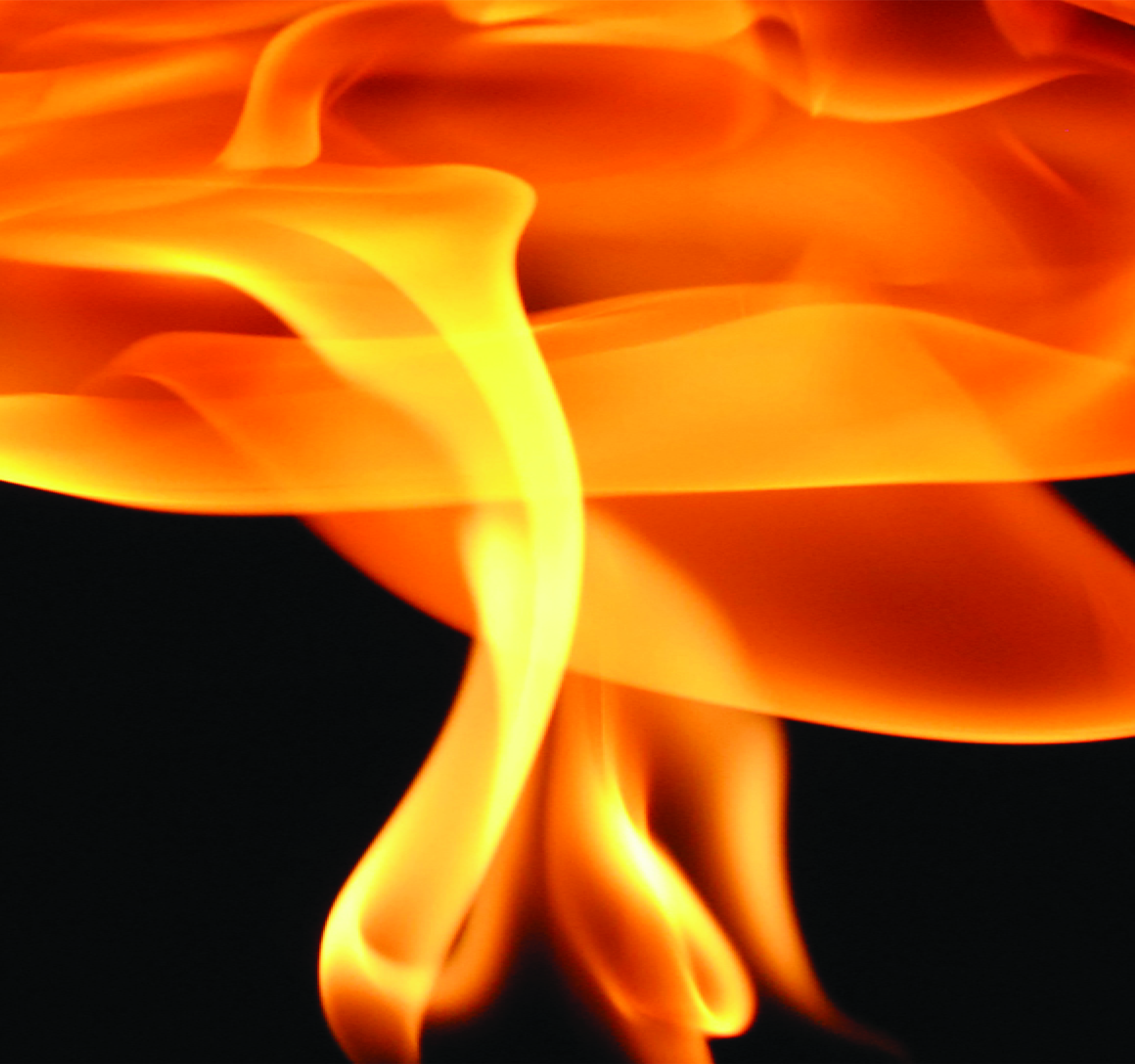 FIRE IN THE GARDEN